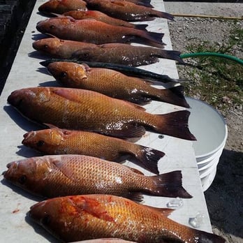 Snapper Addict Fishing Charter - Fishing Near Me