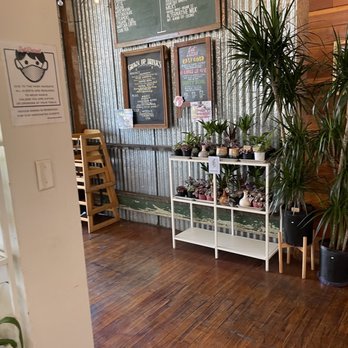 Lost Parrot Cafe - Breakfast & Brunch Near Me - South Pasadena, California Lost Parrot Cafe - Breakfast & Brunch Near Me - South Pasadena, California