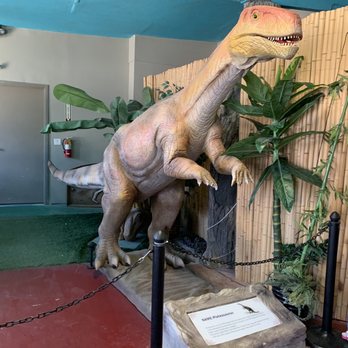 Cabazon Dinosaurs - Small museum in the gift shop - Museums Near Me - Cabazon, California Cabazon Dinosaurs - Small museum in the gift shop - Museums Near Me - Cabazon, California