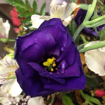 Gray's Flower Garden - Day seven - Florists Near Me - Quincy, California