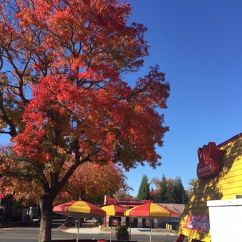 Wienerschnitzel - Fast Food Near Me - Modesto, California Wienerschnitzel - Fast Food Near Me - Modesto, California