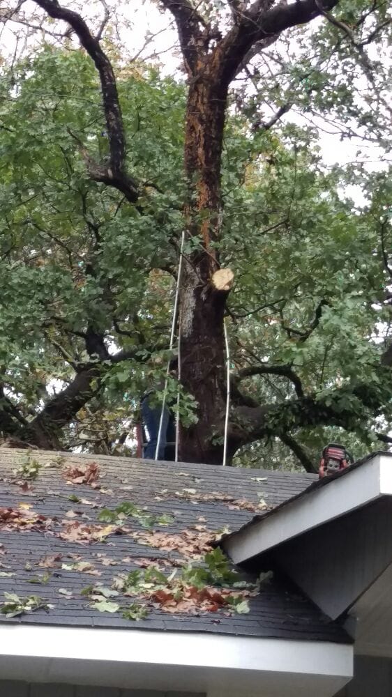 Slide of Brandi's Home Improvements & Roofing