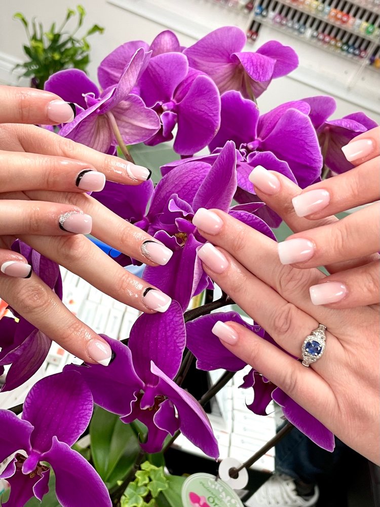 GELISH NAILS & SPA Updated September 2024 30 Photos 1344 56