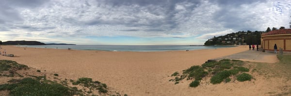 Palm Beach by null