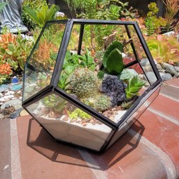 Custom terrarium for Mother's Day