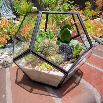 The Opulent Succulent - Custom terrarium for Mother's Day - Jewelry Near Me - Orange, California