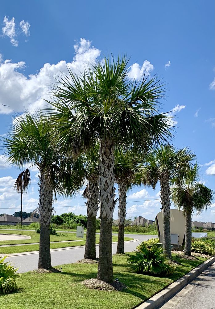 THE GREENWAY GROUP LANDSCAPE & SPRINKLER SYSTEM Updated September