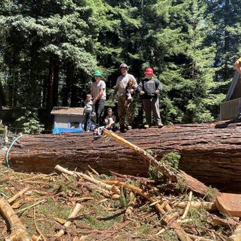 Black Diamond Tree Experts - Tree Services Near Me Black Diamond Tree Experts - Tree Services Near Me