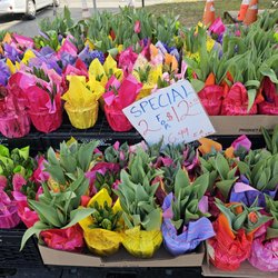 17 Farmer's Market