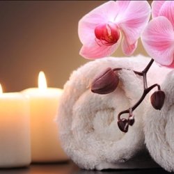 Hawaii Massage - Hawaii Massage Tel:(702) 798-8700 1550 E Tropicana Ave,#6 Las Vegas, NV 89119 Open 24/7