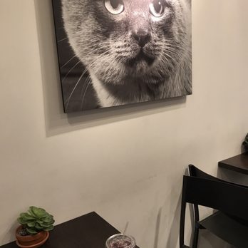 Koneko - Iced tea - Breakfast & Brunch Near Me - New York, New York