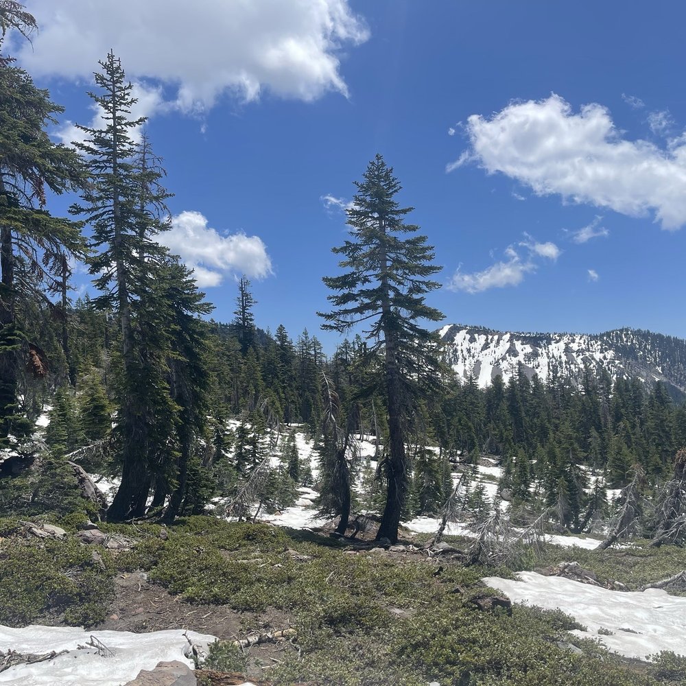 Bunny Flat Trail - Hiking Near Me - Mount Shasta, California