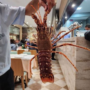 Cervejaria Ramiro - Poor Sebastián - Seafood Near Me - Lisbon, 11
