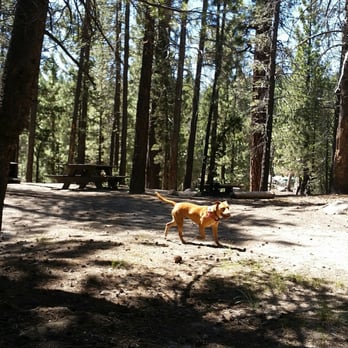Vermillion Campground - Pet friendly our dog she enjoyed the nature of this campsite - Campgrounds Near Me