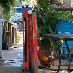 Los Antojitos Criollos - Roaming rooster