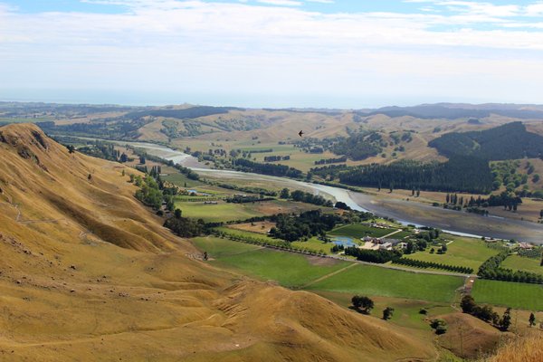 Te Mata Peak by null