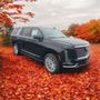 Photo of Classic Limo Tours
