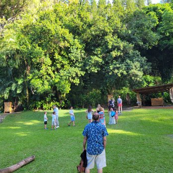 Experience Nutridge - Performing Arts Near Me - Honolulu, Hawaii