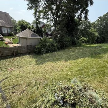 How Hard Can It Be Landscaping - After removing the brush - Landscaping Near Me How Hard Can It Be Landscaping - After removing the brush - Landscaping Near Me