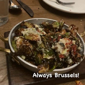 OLIVIA - Brussels!!! - Italian Near Me - Tampa, Florida