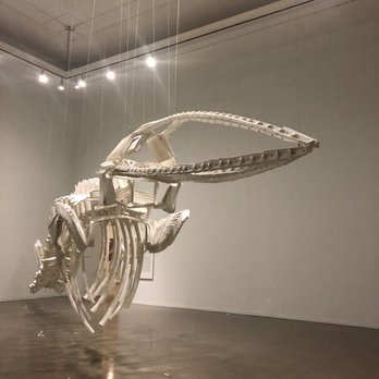 Vancouver Art Gallery - Art Museums Near Me - Vancouver, British Columbia Vancouver Art Gallery - Art Museums Near Me - Vancouver, British Columbia