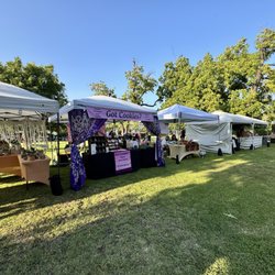 Food I E Fridays - Vendor booths