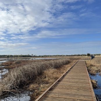 Cosumnes River Preserve - Parks Near Me - Galt, California
