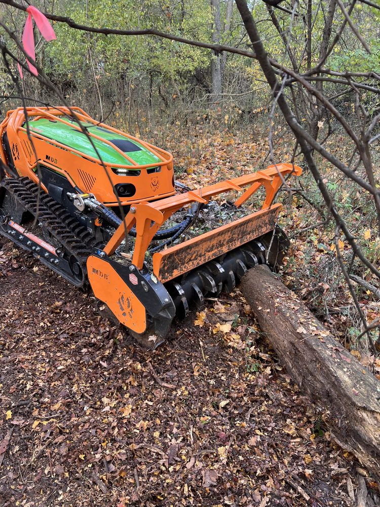 New Life Arbor - tree service in Grand Rapids, MI