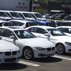 Vic Car Rental