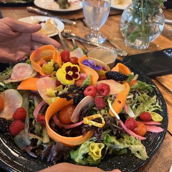 Camp Aramoni - Now THAT is a salad!!!! - Venues & Event Spaces Near Me - Tonica, Illinois Camp Aramoni - Now THAT is a salad!!!! - Venues & Event Spaces Near Me - Tonica, Illinois