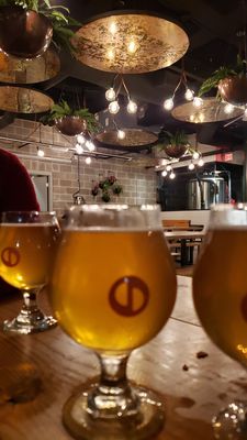 Central District Brewing by null Central District Brewing by null