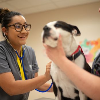 Carrington College - Colleges & Universities Near Me - Mesa, Arizona