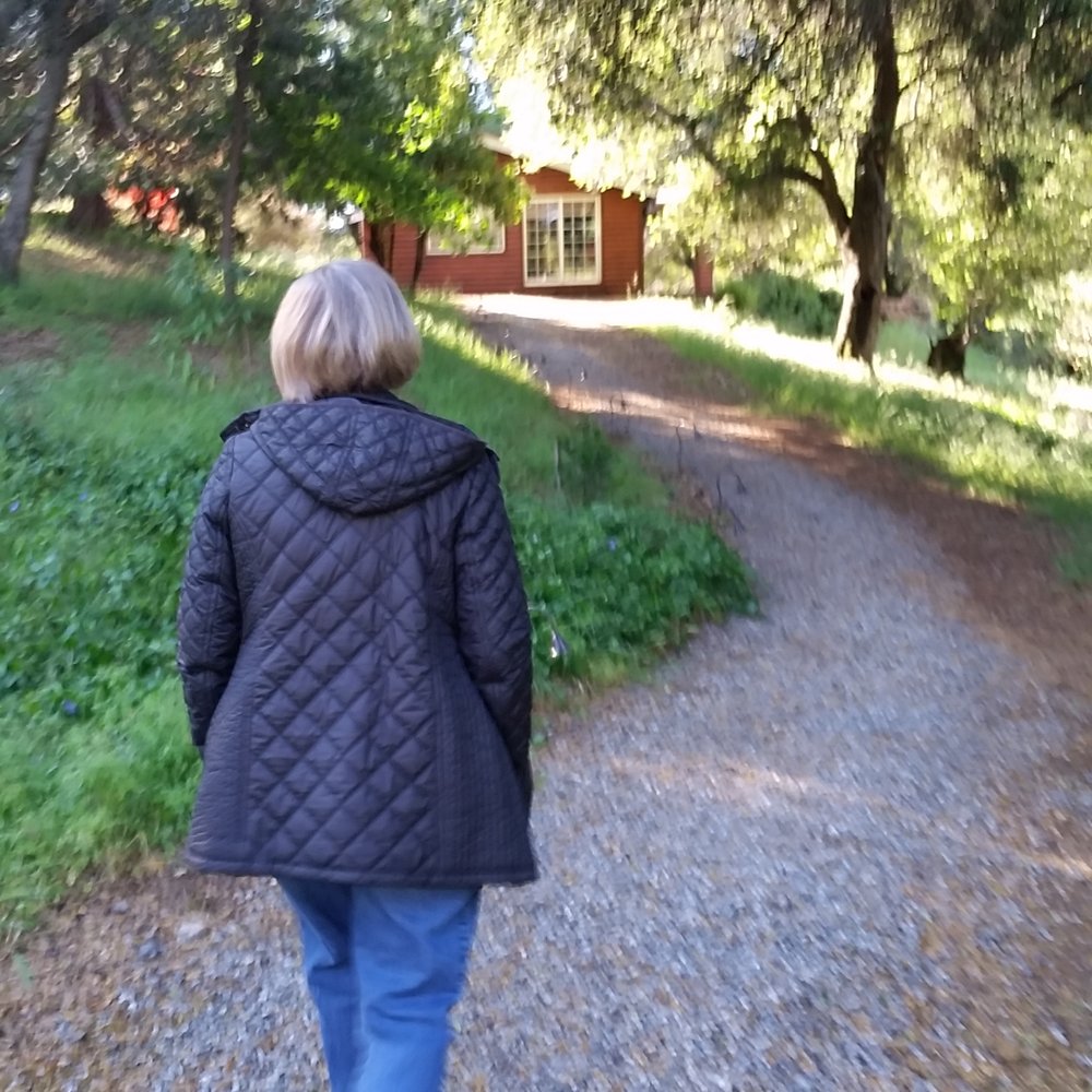 walking to breakfast from our cabin walking to breakfast from our cabin