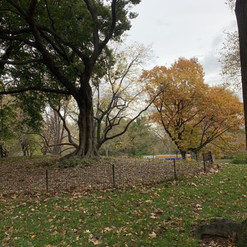 Central Park Conservancy - Gorgeous fall foliage - Parks Near Me - New York, New York Central Park Conservancy - Gorgeous fall foliage - Parks Near Me - New York, New York