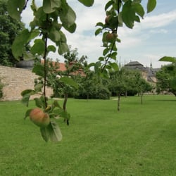 Unterer Abteigarten - Obstgarten der ehem. Zisterzienserabtei Ebrach (heute JVA).