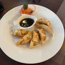Fried pot sticker appetizer Fried pot sticker appetizer