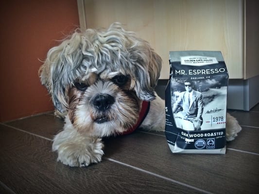 Mr. Espresso by null