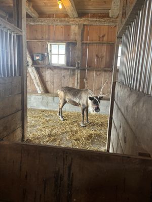 Grandpa Tiny's Farm by null