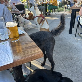 Bend Brewing Company - Breweries Near Me - Bend, Oregon