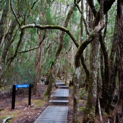 Dove Lake