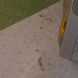 Mile Square Health Center: Back of the Yards - Blood on the floor in my daughters exam room at UIC back of the yards. I told the nurse, she didnt acknowledge me or the problem.
