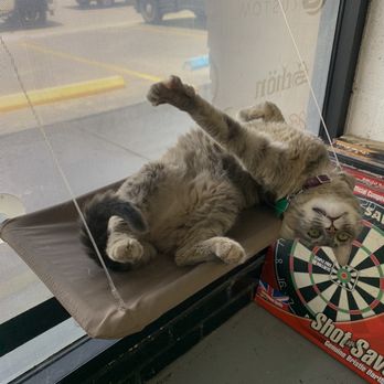 Pete's Billiards - Stretchhh - Pool & Billiards Near Me - San Antonio, Texas