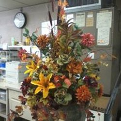 Cottage Flowers
