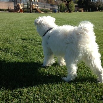 Azule Park - Parks Near Me - Saratoga, California