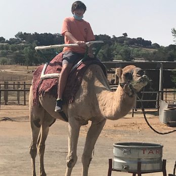 Oasis Camel Dairy - Attraction Farms Near Me - Ramona, California Oasis Camel Dairy - Attraction Farms Near Me - Ramona, California