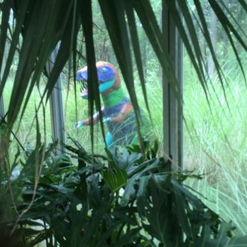 Tropic Bay Water Gardens - I spy with my little eye, A T-REX!! - Aquarium Services Near Me - Davidsonville, Maryland Tropic Bay Water Gardens - I spy with my little eye, A T-REX!! - Aquarium Services Near Me - Davidsonville, Maryland