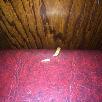 Old Man Rafferty's - Crusty nonsense that was on the seat of my booth, obviously left over from previous patrons. Not the most welcoming sight. - Bars Near Me - New Brunswick, New Jersey Old Man Rafferty's - Crusty nonsense that was on the seat of my booth, obviously left over from previous patrons. Not the most welcoming sight. - Bars Near Me - New Brunswick, New Jersey