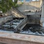 Photo of Fish Ladder Park