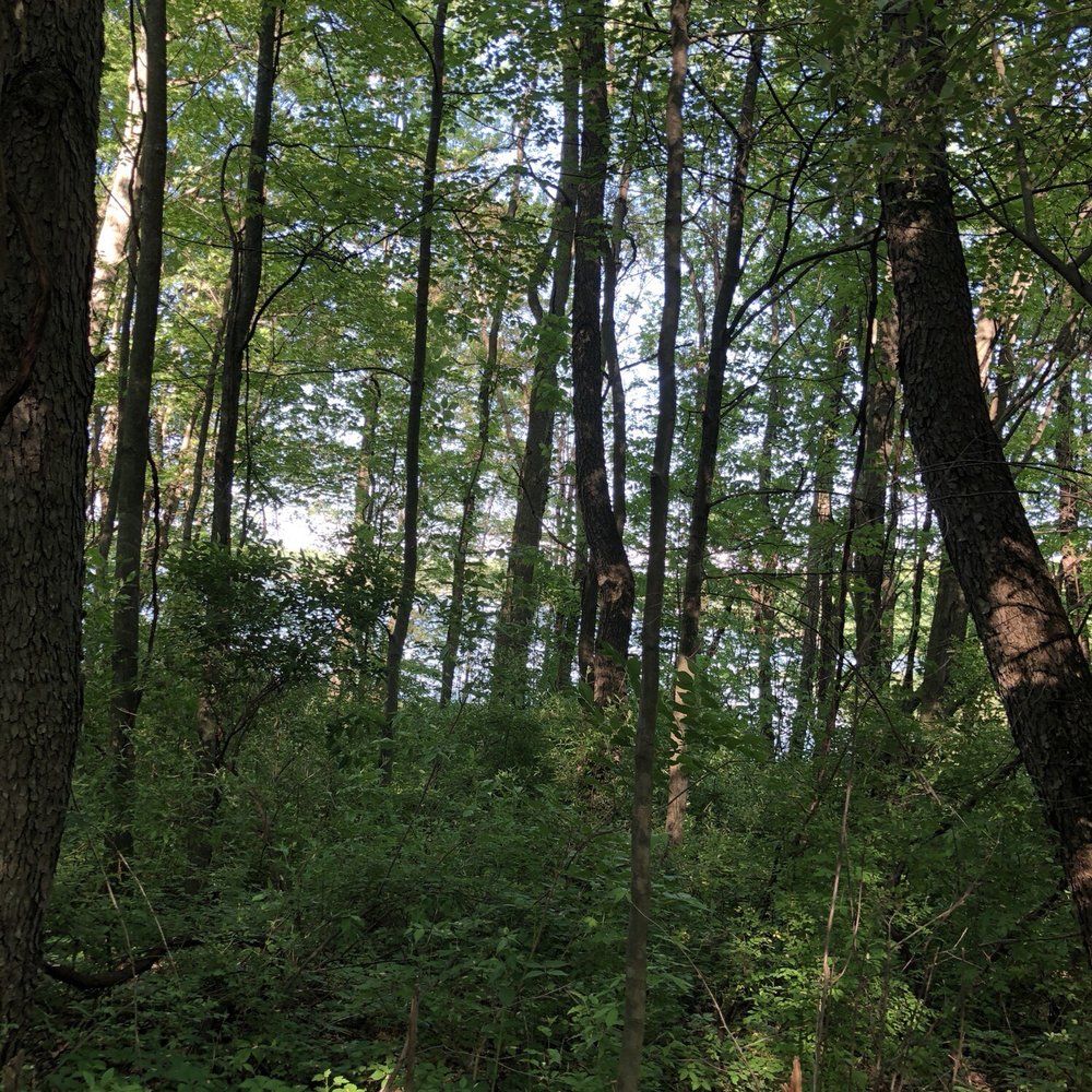 Cold Brook County Park - Parks Near Me - Climax, Michigan