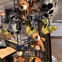 Kelowna International Airport - YLW